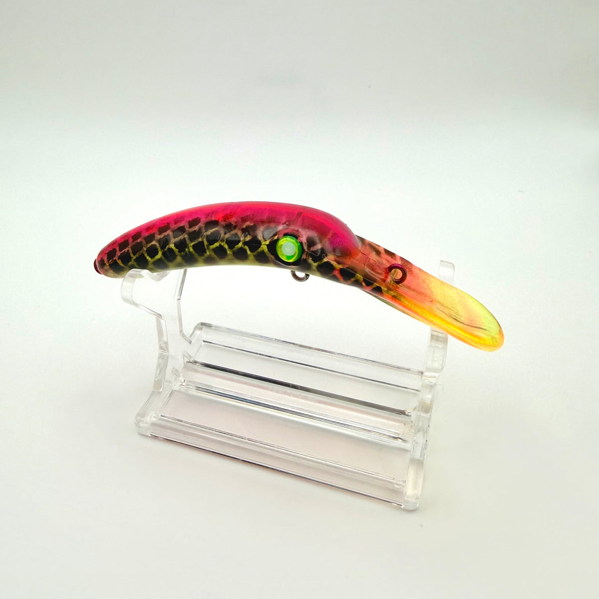 3.5 KB Custom Rattlesnakes