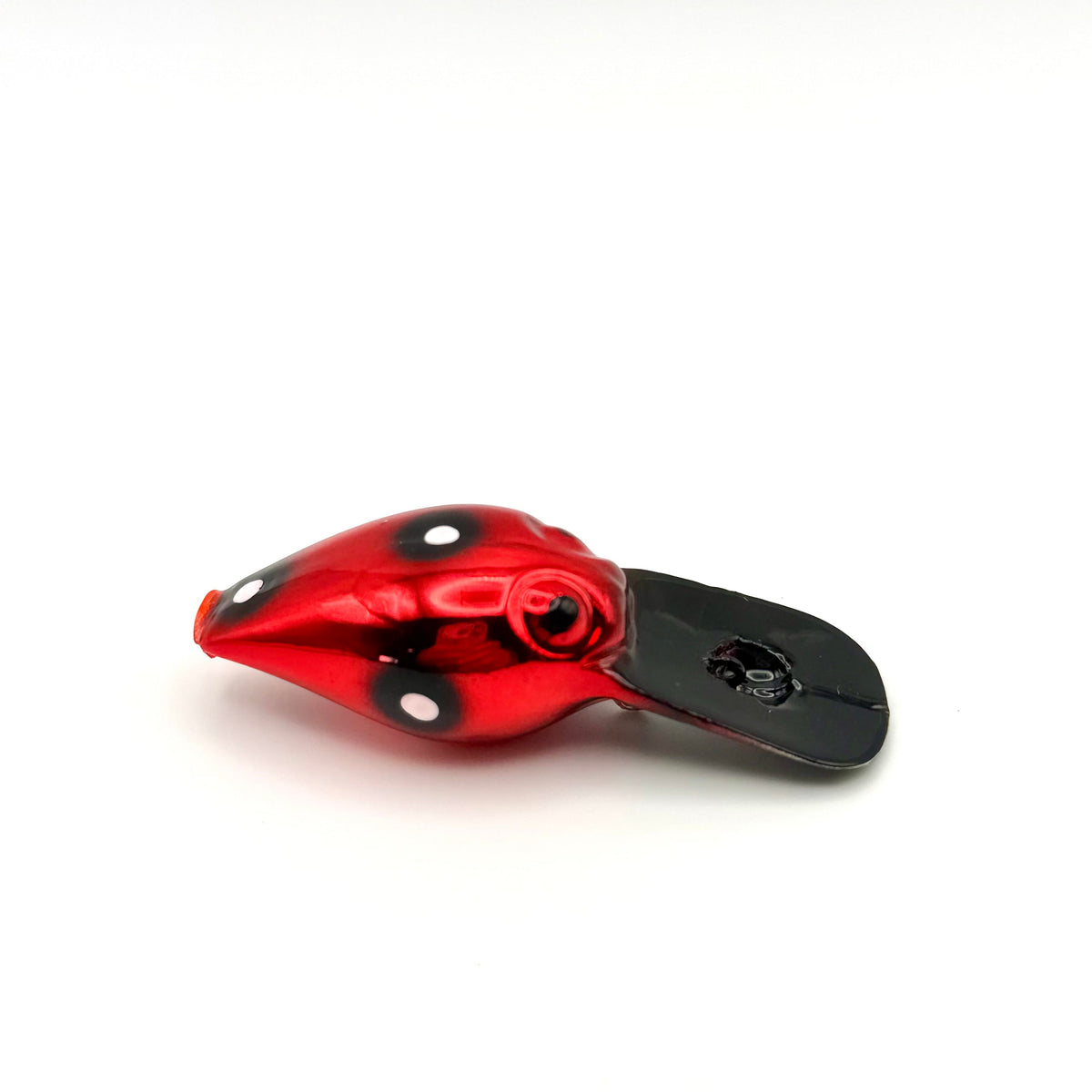 Wiggle Wart - The Storm Wee Wort